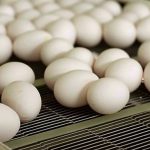 Feds plan to invest in processing projects