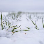  (Volodymyr Shtun/iStock/Getty Images)
