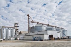 Louis Dreyfus’ oilseed processing plant at Yorkton, Sask. (LDC.com)