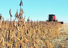 If the producer is worried about a dry year in 2024, Manitoba Agriculture’s pulse specialist says proper seeding strategy should be key in their plans.