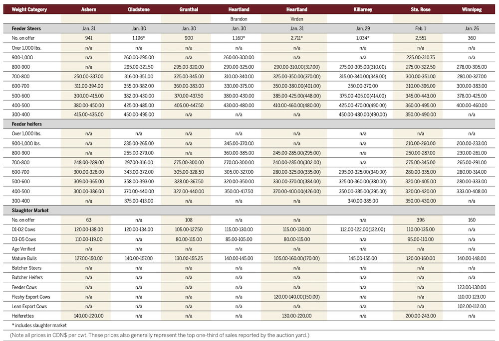 Rising temperatures mean rising cattle numbers at auction marts