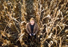 A bird’s eye view is enough for a livestock producer to monitor a herd or watch individual animal behaviour. For crops, it’s an extension of the farmer’s own scouting, useful to see pests, disease symptoms or other issues that could stunt crop growth.