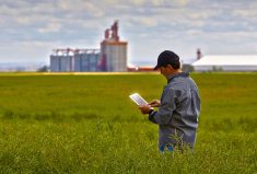 Canada can’t afford to let itself lag on crop research, authors argue.