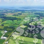 Photo: Excentric_01/iStock/Getty Images
