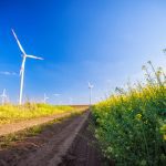 Photo: Zoranm/iStock/Getty Images
