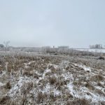 Photo: Korey Peterson/iStock/Getty Images
