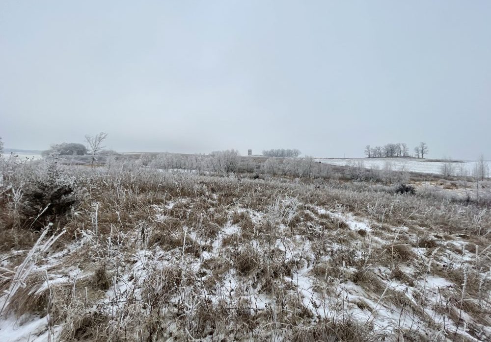 Photo: Korey Peterson/iStock/Getty Images