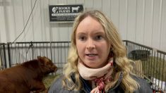 Cattle breeder Alice Rooke stands in front of her livestock at Manitoba Ag Days 2024.