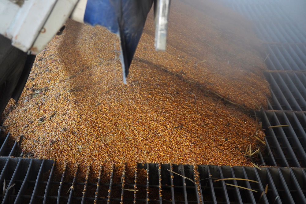 (RGtimeline/iStock/Getty Images)
