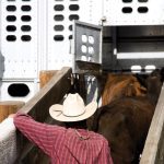 (Sierrarat/iStock/Getty Images)
