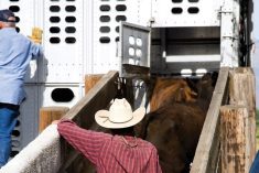 (Sierrarat/iStock/Getty Images)
