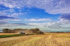 (Kat72/iStock/Getty Images)