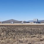 Biosecurity is among the daily defences pushed within the industry against diseases like African swine fever.