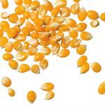 Are corn markets poised for a rebound in March?