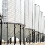 (WWing/E+/Getty Images)
