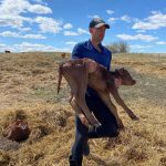 Stuart Chutter, senior policy advisor with AFSC, is looking for a diverse group of cow-calf producers to participate in an analysis of the AgriStability program. Photo: Nicole Sendziak