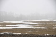 Only weeks after extreme cold warnings blanketed the area, warm temperatures and February rain saw fields west of Brandon lose their snow cover.