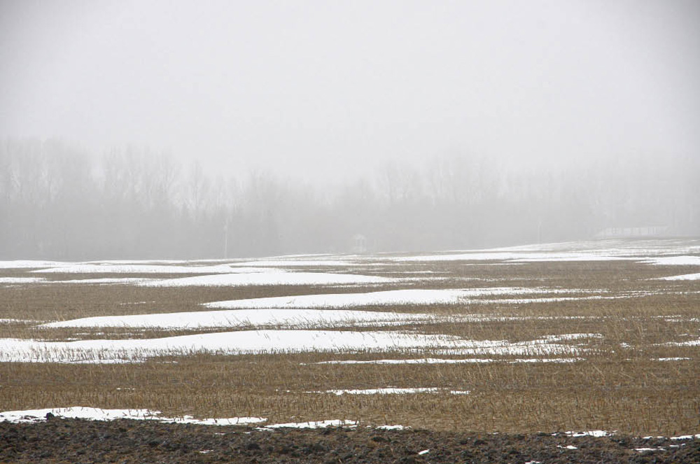 Only weeks after extreme cold warnings blanketed the area, warm temperatures and February rain saw fields west of Brandon lose their snow cover.