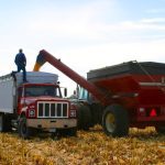 RBC says that the market for agriculture-based carbon offsets is still in early development as firms struggle to attract capital and farmers.