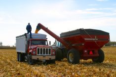 RBC says that the market for agriculture-based carbon offsets is still in early development as firms struggle to attract capital and farmers.