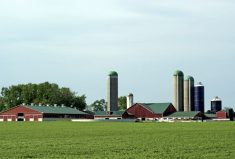 Thinking of this from an agricultural perspective, we must first ask how we see our own space and the community in which we live...