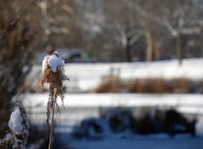How heat and snow measured up in February