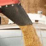 (BanksPhotos/iStock/Getty Images)
