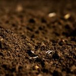Know your soil, right down to the DNA