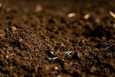 Know your soil, right down to the DNA