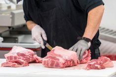 “If it becomes a condition of trade down there, it becomes de facto mandatory.” – Dennis Laycraft, Canadian Cattle Association.
