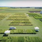 The Field Crop Development Centre at Lacombe. Photo: Alberta Barley video screengrab.
