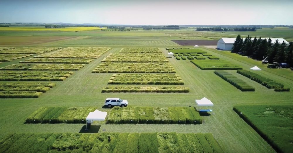 The Field Crop Development Centre at Lacombe. Photo: Alberta Barley video screengrab.

