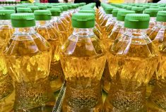 Palm oil accounts for the largest percentage of vegetable oil consumed globally.