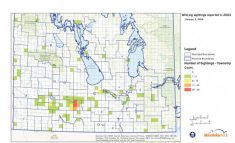 The distribution of wild pig sightings in Manitoba in 2023.