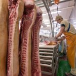 (IP Galanternik D.U./E+/Getty Images)
