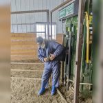 A Moonsyst Smart Rumen Bolus is inserted at MBFI’s Brookdale Farm north of Brandon.