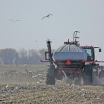 Organics: Planting decisions still to be made