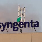 A logo is seen at the headquarters of agricultural chemical maker Syngenta in Basel, Switzerland January 30, 2020. REUTERS/Arnd Wiegmann/File Photo
