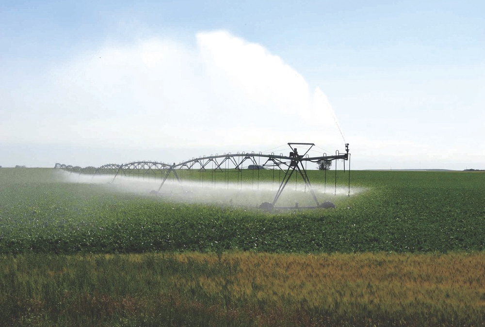 If drought conditions continue to persist, it may be a good idea to look into market opportunities for foods with a low water footprint should consumer interests swing in that direction.