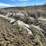 Many ditches and wetlands normally teeming with water from the spring melt were staying tamely in their banks as of April 5.