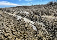 Many ditches and wetlands normally teeming with water from the spring melt were staying tamely in their banks as of April 5.