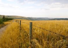 Failing to protect biodiversity, prevent deterioration in water quality and such like will likely come back to bite us politically.