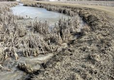 March and February weather swapped out