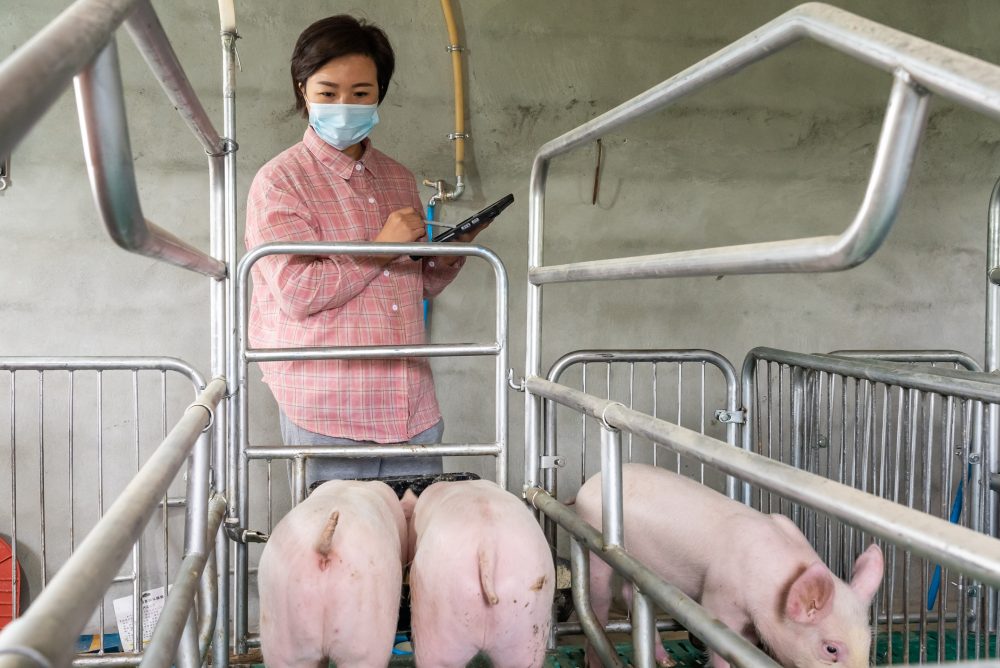 Photo: Orientfootage/iStock/Getty Images
