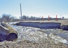Victoria Park in Souris goes under water in 2017 under pressure from both the Souris River and Plum Creek.