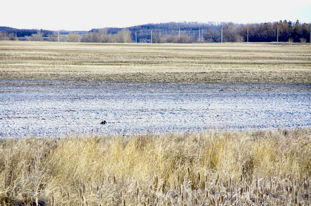 Visible salt deposits coat the surface of a field in southern Manitoba after the 2024 melt.