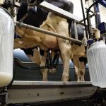 Photo: zmeel/E+/Getty Images
