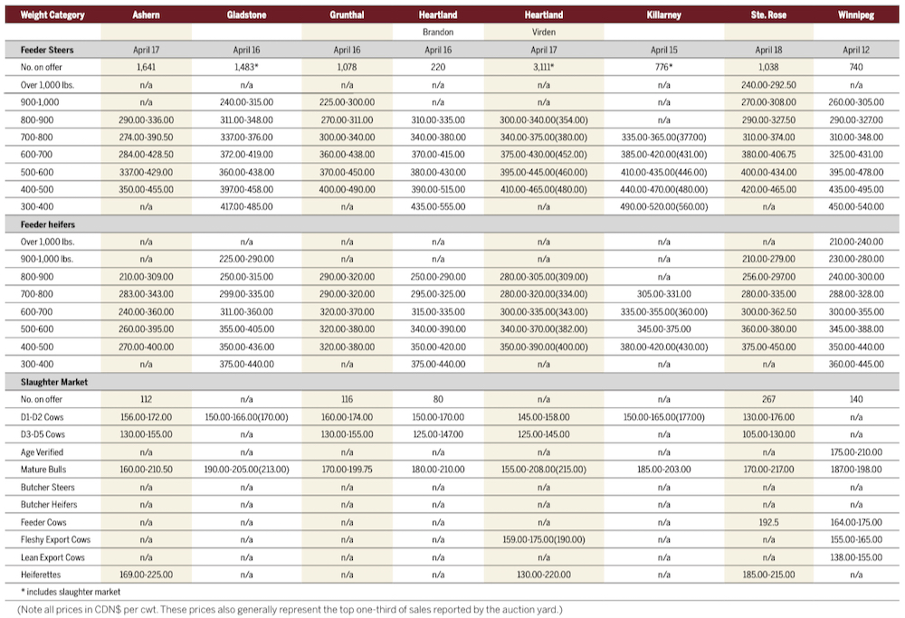 Bump in cattle numbers before spring slowdown