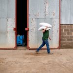 Industry wary of federal immigration plan