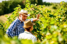 A farmer might not think this is an important issue, but if processors, retailers and consumers do, that farmer will have to meet the standard, regardless of their own feelings.